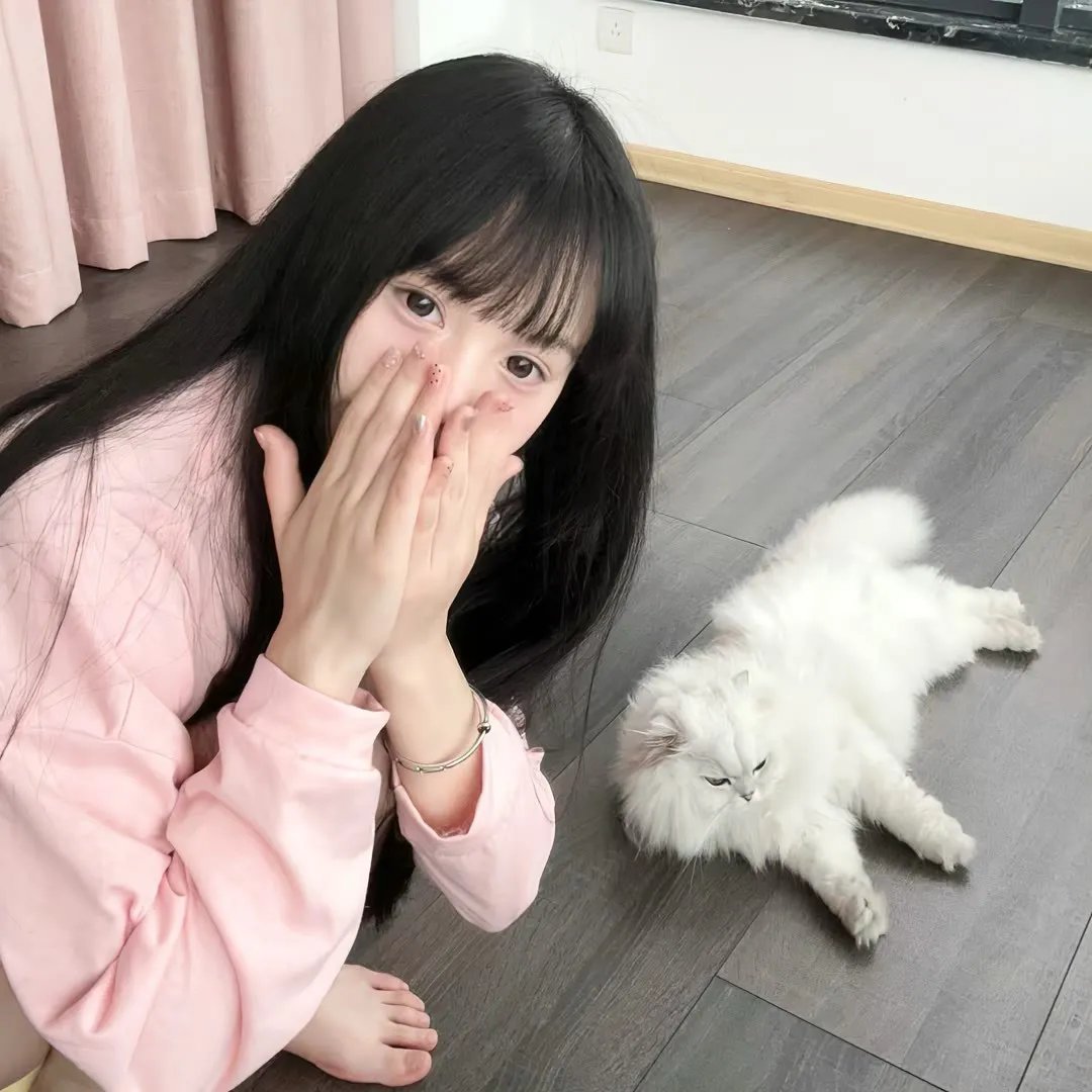 心知不宣